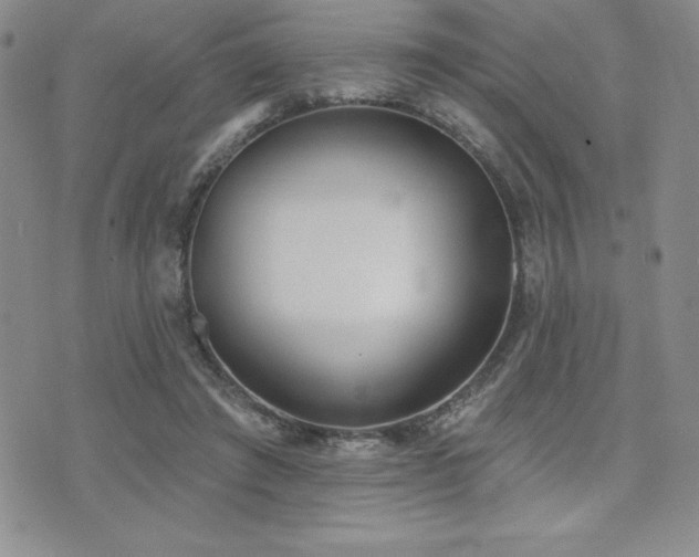 X0000071960401200607071458