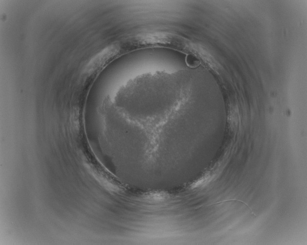 X0000071960402200607071458