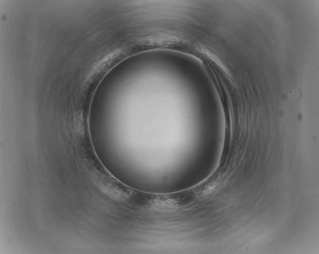 X0000071960403200607071458