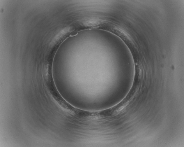 X0000071960404200607071458