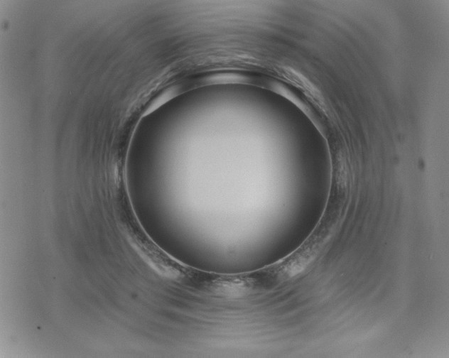 X0000071960405200607071458