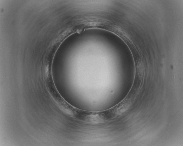 X0000071960406200607071458