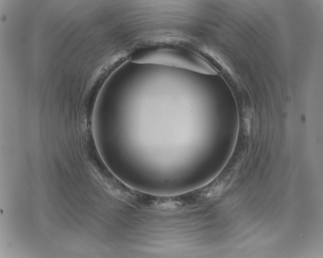 X0000071960407200607071458