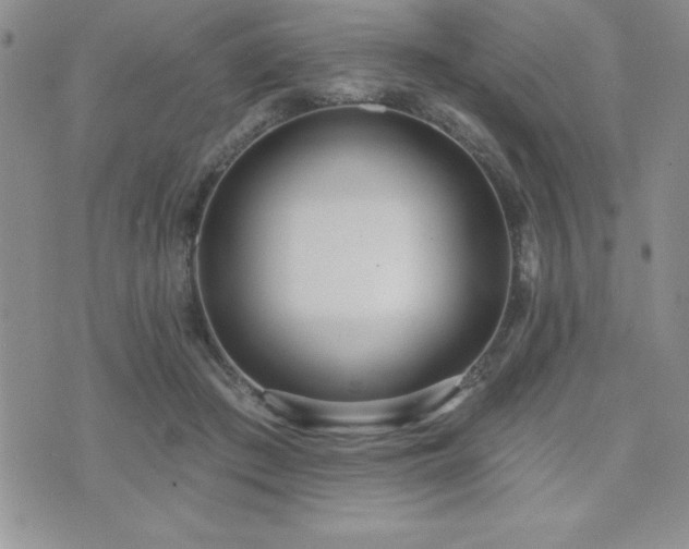 X0000071960409200607071458