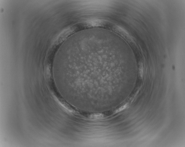 X0000071960410200607071458