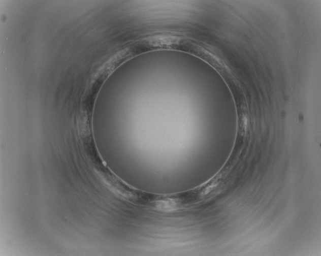 X0000071960411200607071458