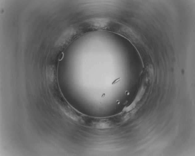 X0000071960412200607071458