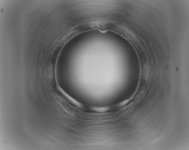 X0000071960413200607071457