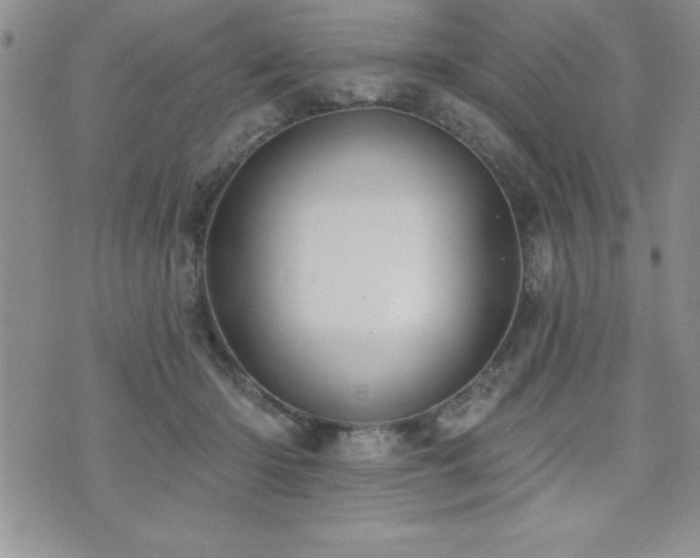 X0000071960414200607071457