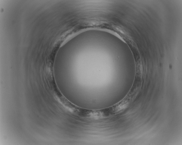 X0000071960415200607071457