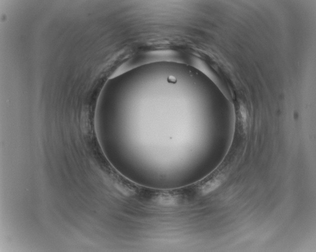 X0000071960416200607071457