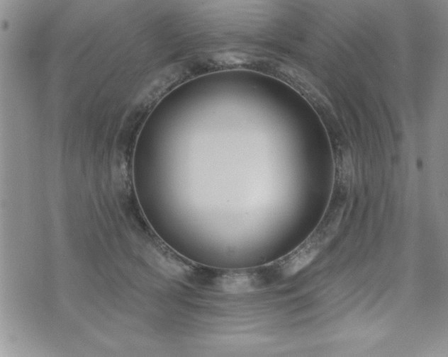 X0000071960418200607071457