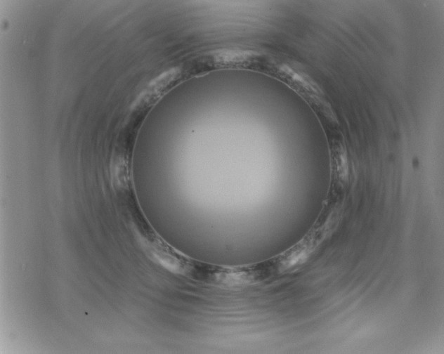 X0000071960419200607071457