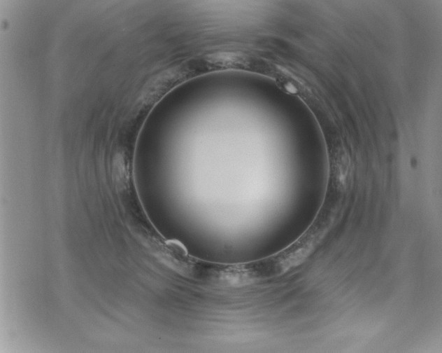 X0000071960420200607071457