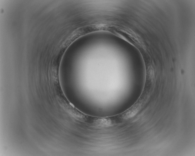 X0000071960421200607071457