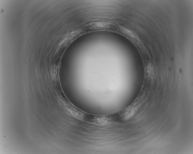 X0000071960423200607071457