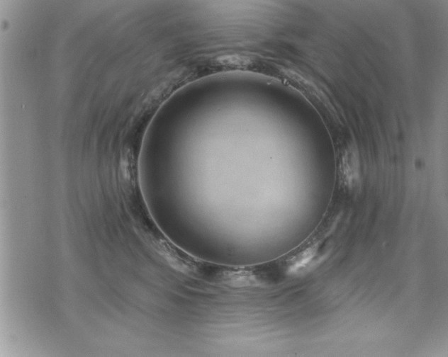 X0000071960424200607071457