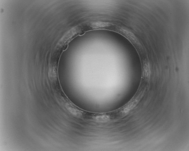 X0000071960426200607071457