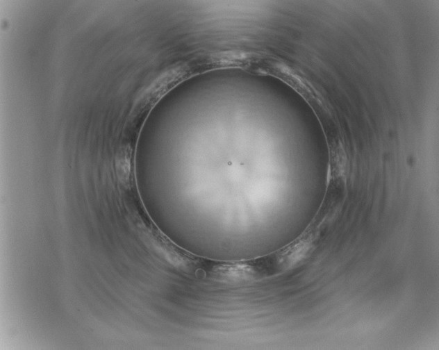 X0000071960427200607071457