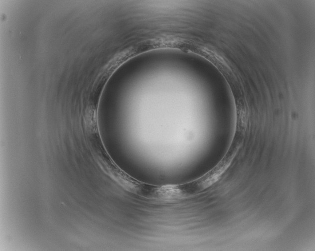 X0000071960429200607071457