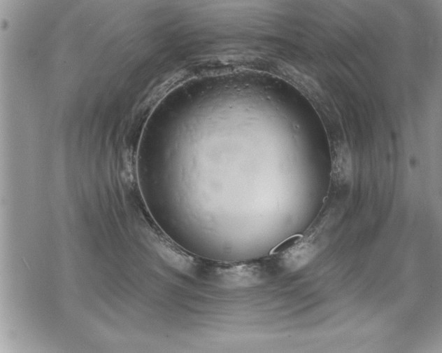 X0000071960430200607071457