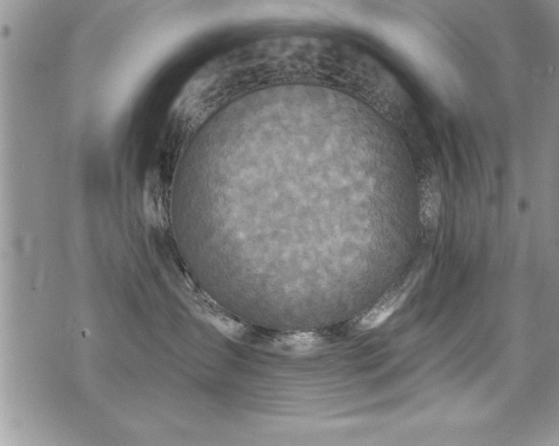 X0000071960431200607071457