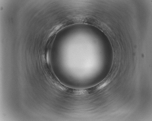 X0000071960432200607071457