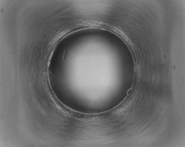 X0000071960433200607071456