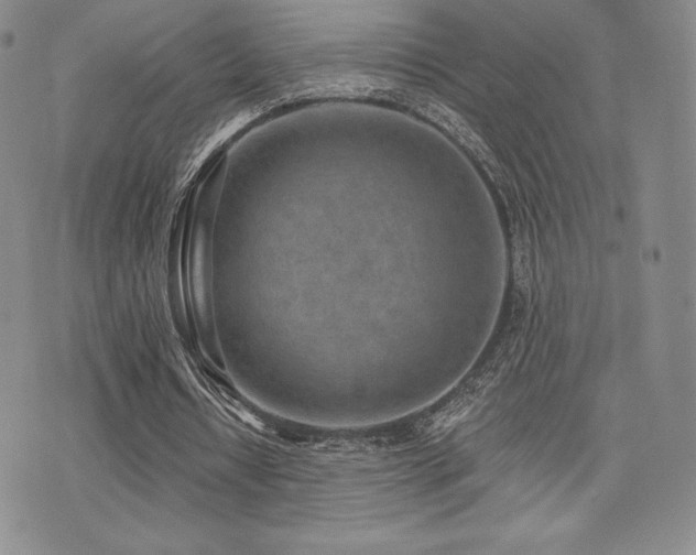 X0000071960434200607071456