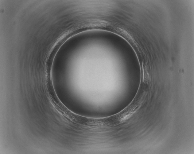 X0000071960435200607071456