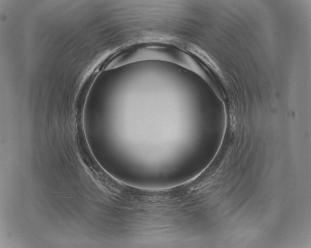 X0000071960436200607071456