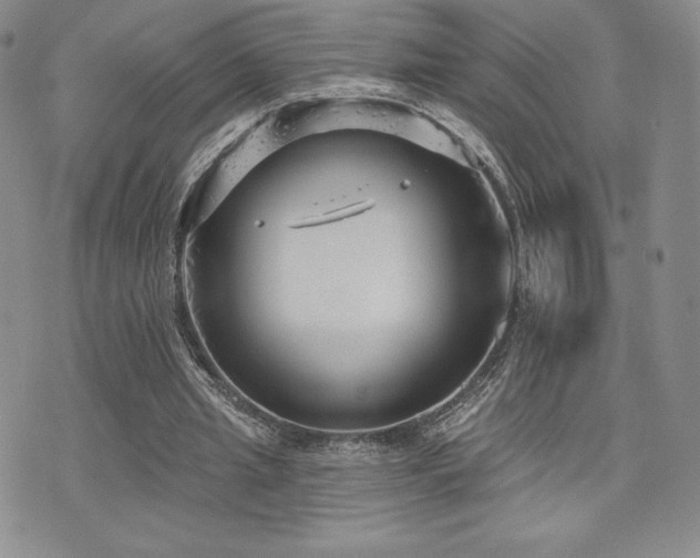 X0000071960437200607071456