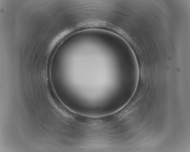 X0000071960438200607071456