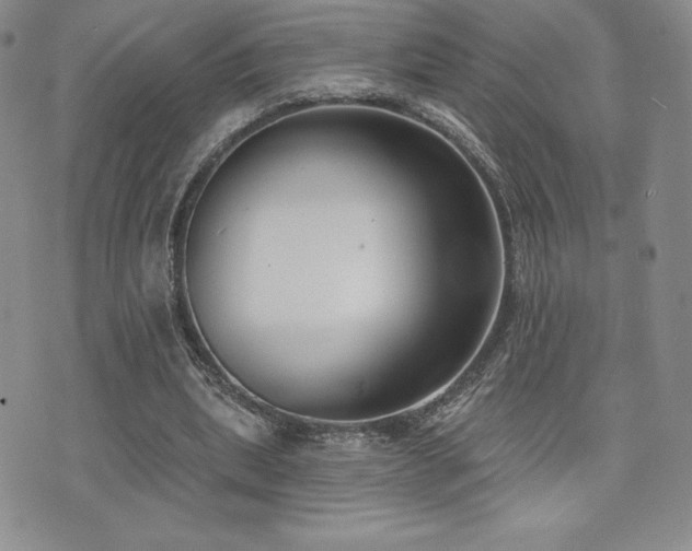 X0000071960439200607071457