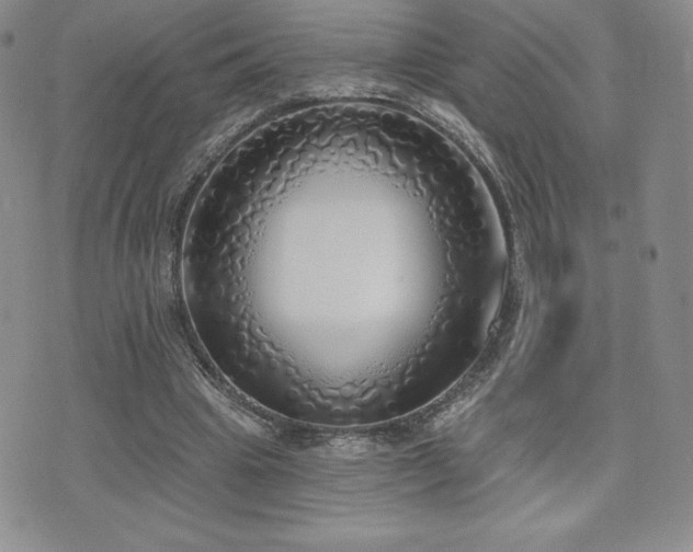 X0000071960441200607071457