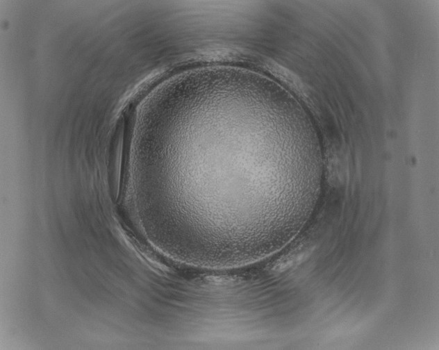 X0000071960442200607071457