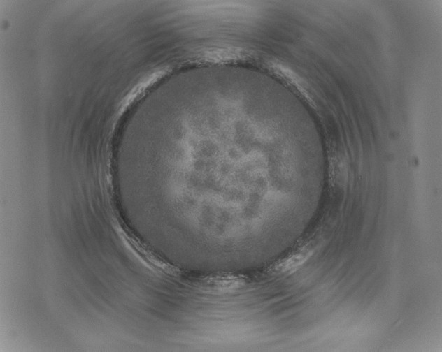 X0000071960443200607071457