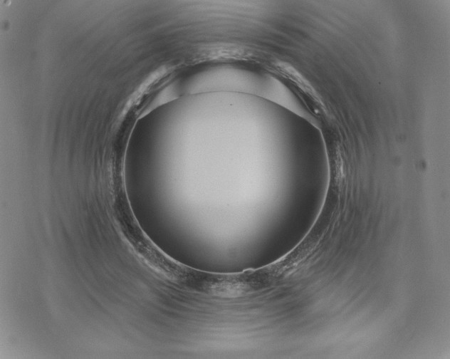 X0000071960444200607071457