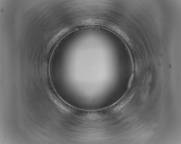 X0000071960445200607071457