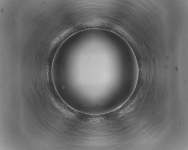 X0000071960446200607071457