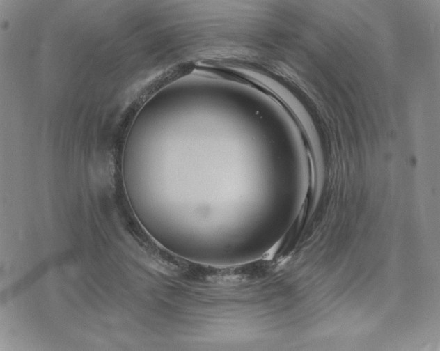 X0000071960448200607071457