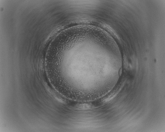 X0000071960449200607071457