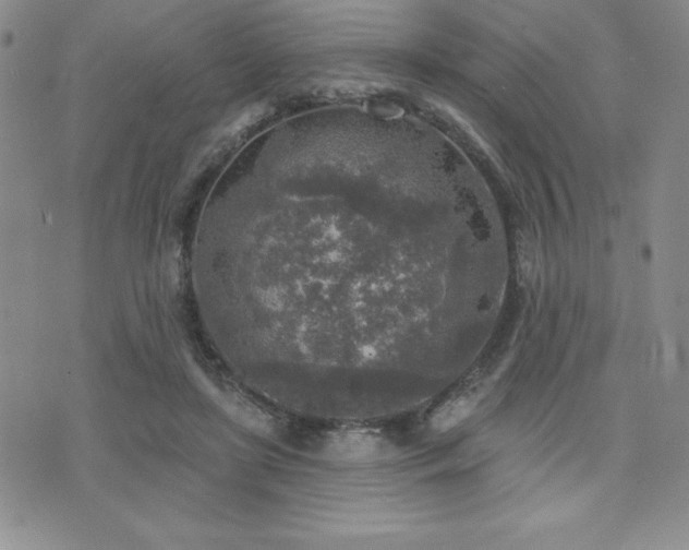 X0000071960451200607071457