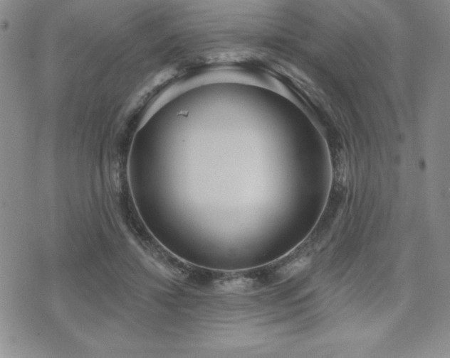 X0000071960452200607071457