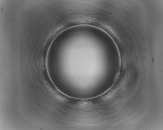 X0000071960453200607071457