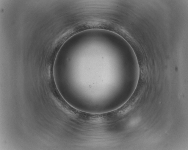 X0000071960454200607071457