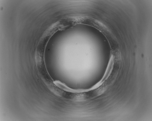 X0000071960456200607071457