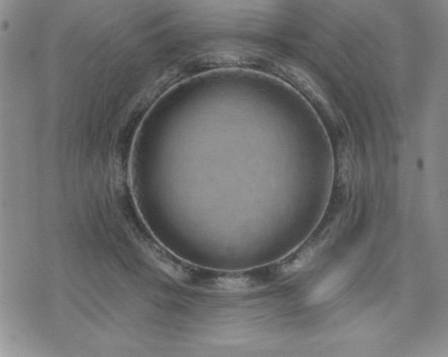 X0000071960457200607071457