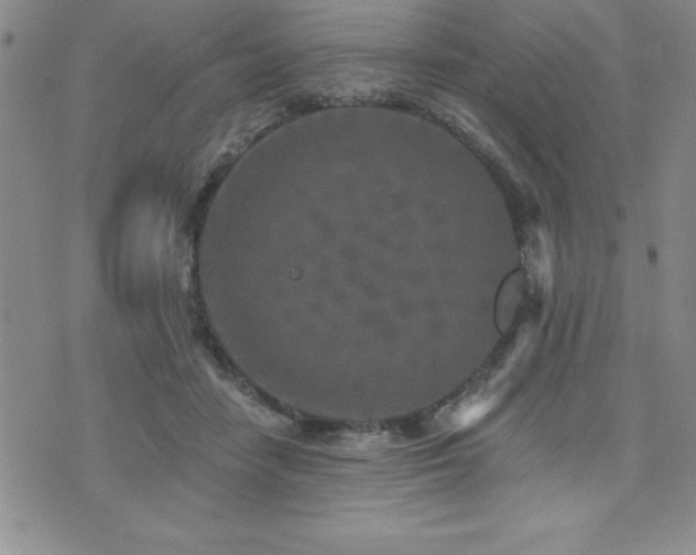 X0000071960458200607071457