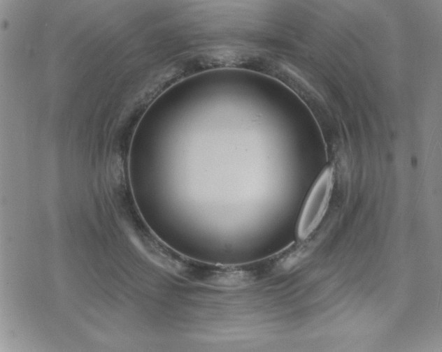 X0000071960459200607071457